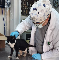 A Vet Adapazarı Veteriner Kliniği - Veteriner Hekim O. Timur Demir